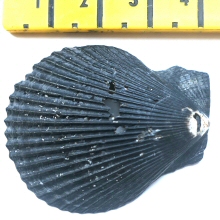 &copy; Thijs de Boer